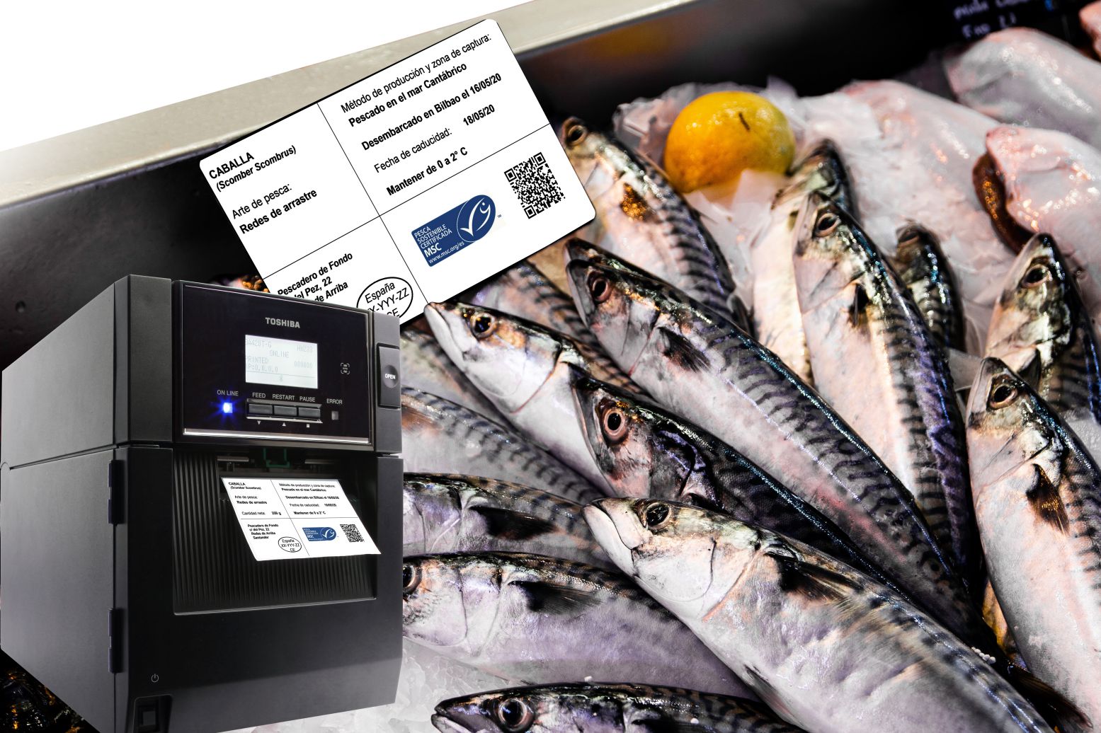 La automatización del etiquetado de los productos pesqueros reduce en un 98% los errores de incumplimento de la normativa